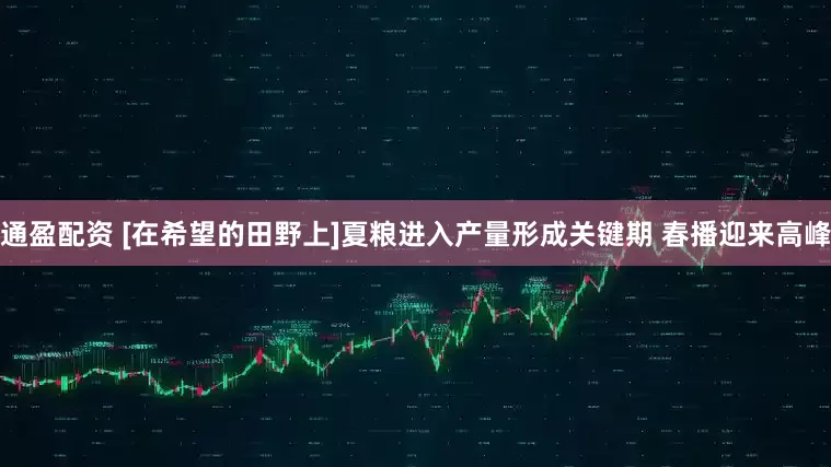 通盈配资 [在希望的田野上]夏粮进入产量形成关键期 春播迎来高峰