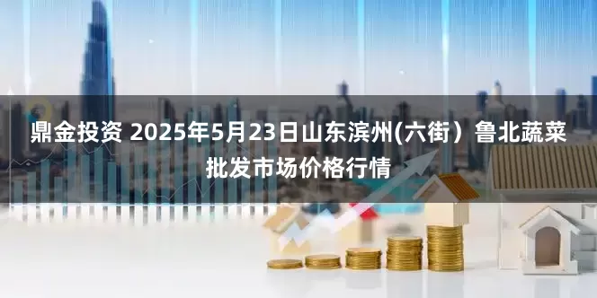 鼎金投资 2025年5月23日山东滨州(六街）鲁北蔬菜批发市场价格行情