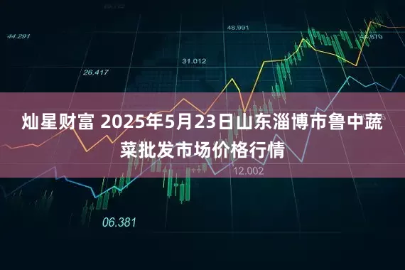 灿星财富 2025年5月23日山东淄博市鲁中蔬菜批发市场价格行情