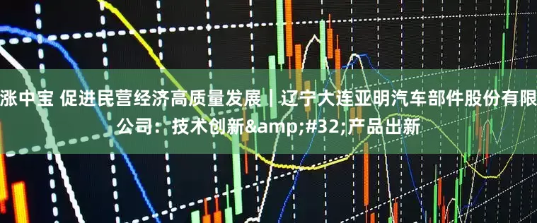 涨中宝 促进民营经济高质量发展｜辽宁大连亚明汽车部件股份有限公司：技术创新 产品出新