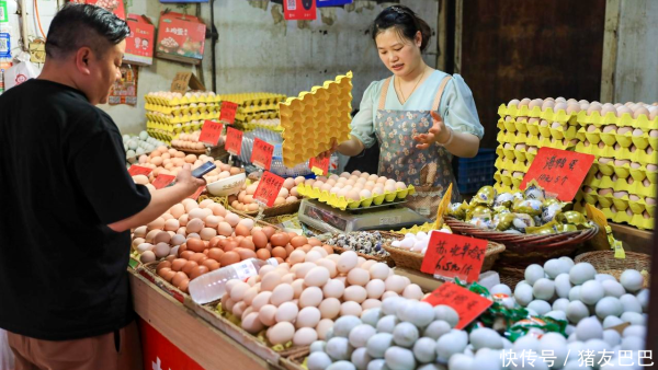 牛道配资 一夜降温！7月23日调价后92/95号汽油价格！蛋价上涨“拦不住”！