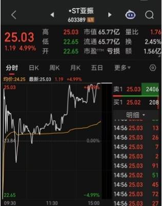 金诚无忧 上交所重拳监管后，市场资金仍旧我行我素，继续疯狂爆炒*ST亚振，尾盘*ST亚振再触及涨停，走出地天板！投资者调侃“在你面前，水电站都是弟弟”